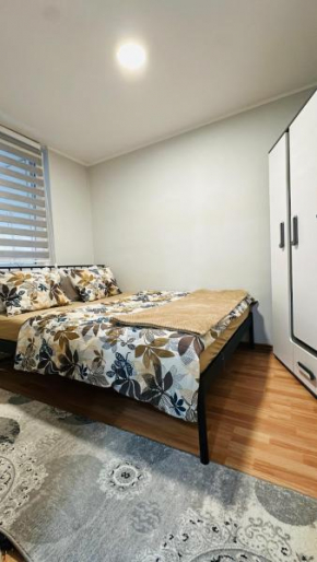 SAAM Apartment